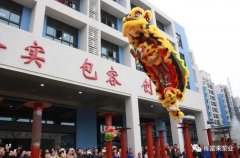 醒狮贺岁，开云手机站官方站入口-开云online(中国)2019年开工大吉